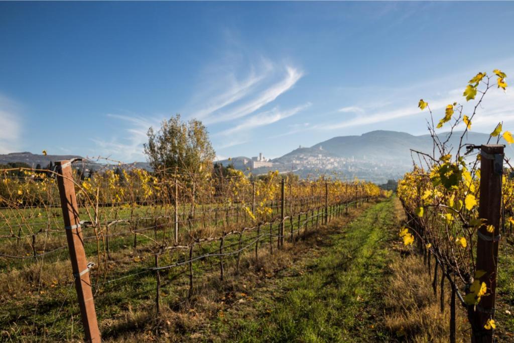 Favorita Food&Wine Resort Bastia Umbra Exterior photo